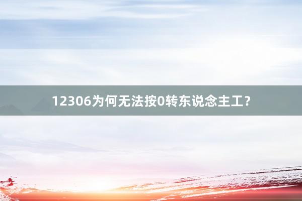 12306为何无法按0转东说念主工?