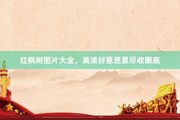 红枫树图片大全，高清好意思景尽收眼底