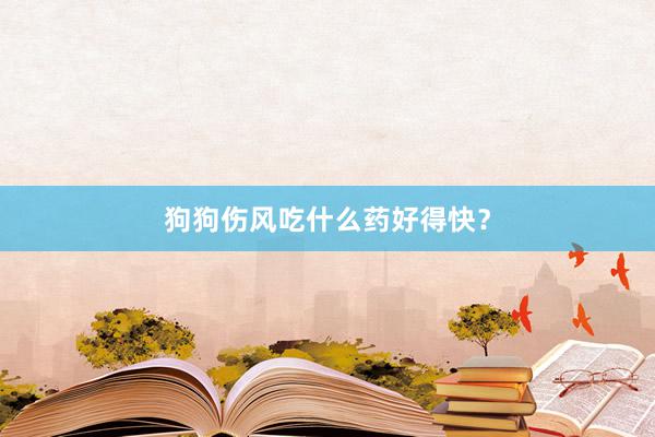 狗狗伤风吃什么药好得快？