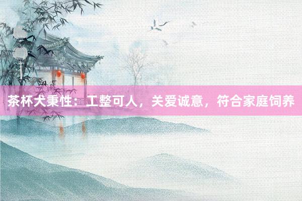 茶杯犬秉性：工整可人，关爱诚意，符合家庭饲养